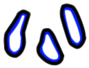 Image of the occurrence